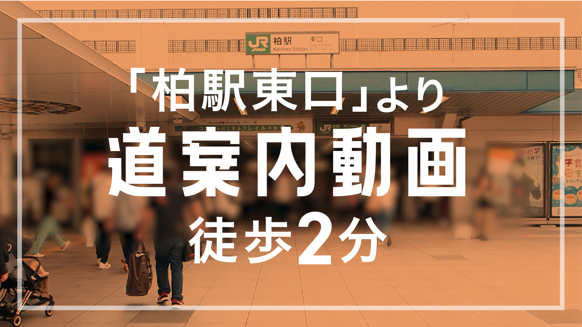 ほねキング 柏東口整骨院(柏市の整骨院・整体・接骨院) 柏東口整骨院 道案内サムネイル画像